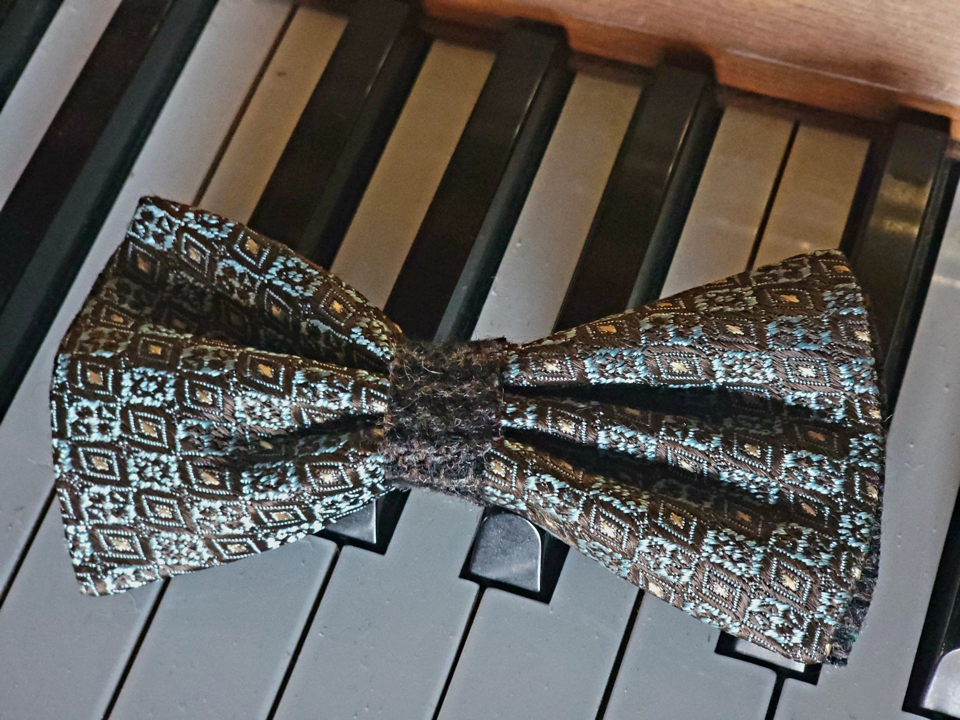 Big Daddy Delbert HipBows Bow Ties