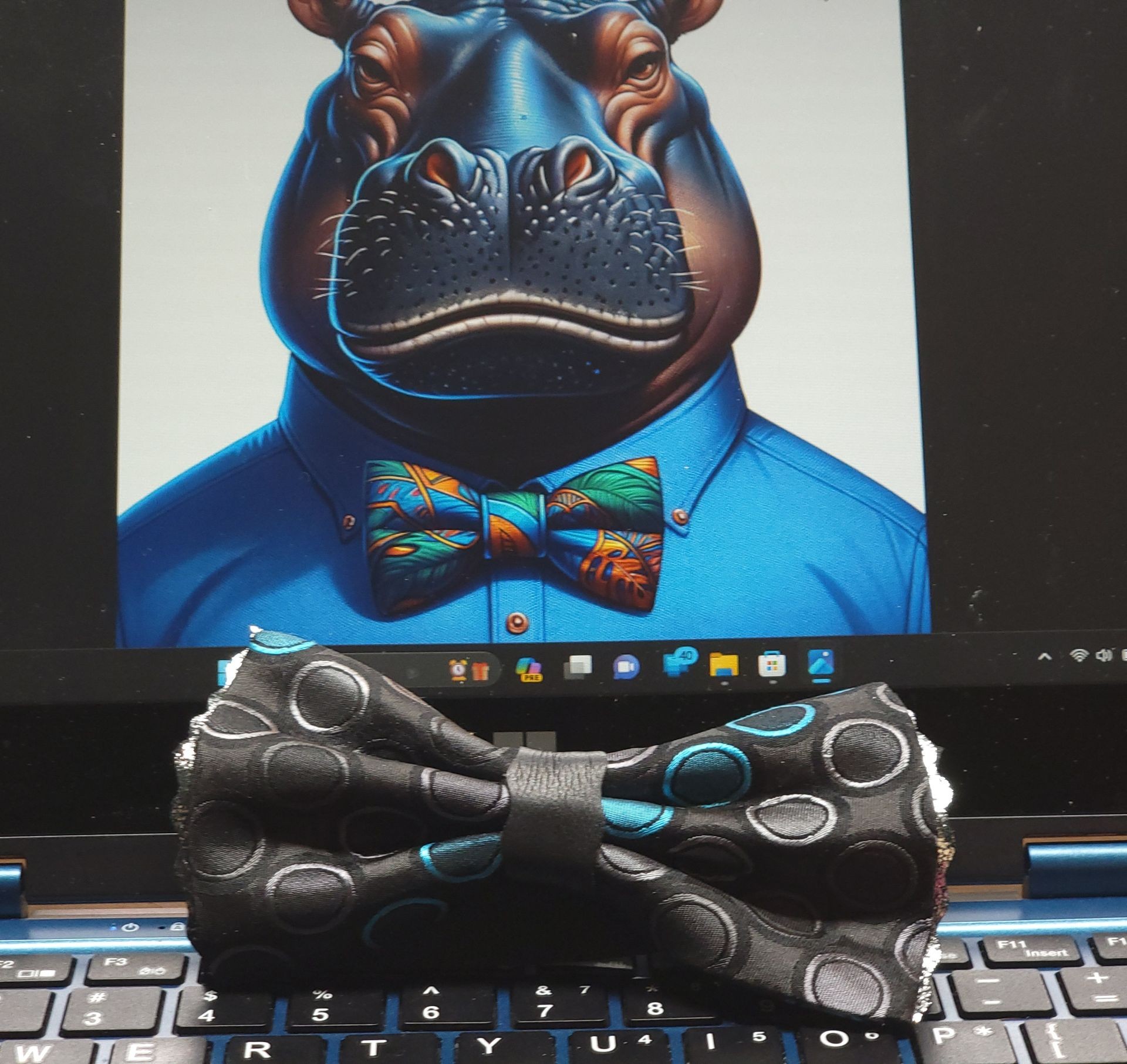 The Bernard HipBows Bowtie